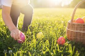 chasse aux oeufs